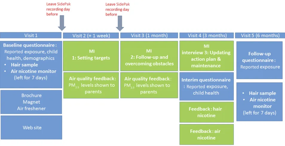 FIGURe 1Timeline of intervention.which were scheduled for baseline, 
