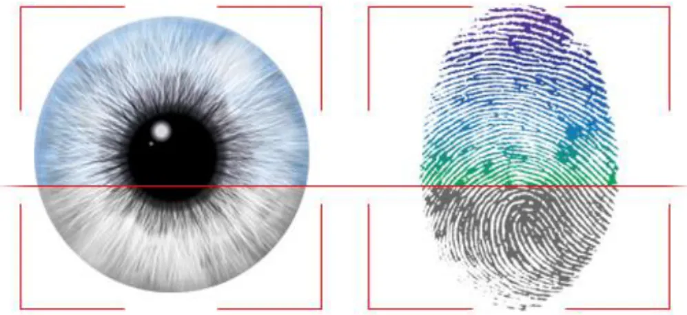 Figure 2.7 Examples of biometrics-based authentication 