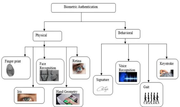 Figure 1. Biometric Authentication Types (Mahnoush et al. 2014). 