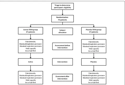 Figure 1 Study flow diagram of the randomized controlled trial.