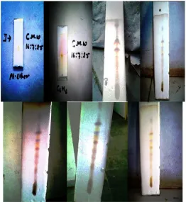 Figure 2.1  Thin layer chromatography qualitative analyses of six fractions against Colocasia esculenta plant tuber extract