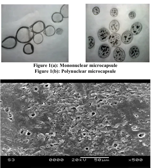 Figure 1(b): Polynuclear microcapsule 