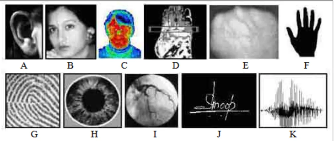 Figure 2-6:  Biometrics: A) ear, B) face, C) facial themogram, D) hand thermogram, E) hand vein,  F) hand geometry, G) fingerprint, H) iris, I) retina, J) signature, and K) voice 
