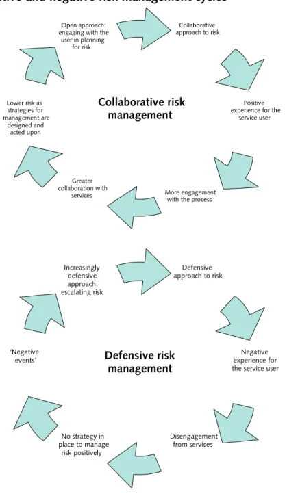 Figure 1: Positive and negative risk management cycles 16