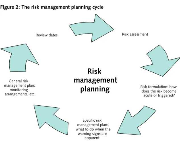 Figure 2: The risk management planning cycle