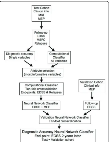 Figure 1 Flow-chart of the study. We obtained clinical data, MRIand MEP metrics from the test cohort