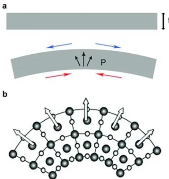 Figure 1.1: (a) Flexoelectricity induced by bending. When a slab of thickness t is bent,it results in tension (blue) in one direction and compression (red) in the other, therefore astrain gradient