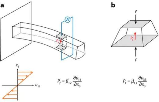 Figure 1.2: Two most common ways of measuring ﬂexoelectric constants. (a) The cantilever