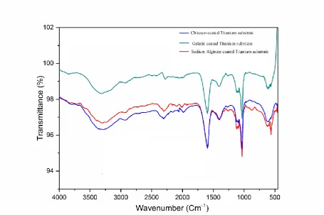 Figure 10. FTIR spectra for biopolymer coated Titanium after PBS incubation for 24 hours 
