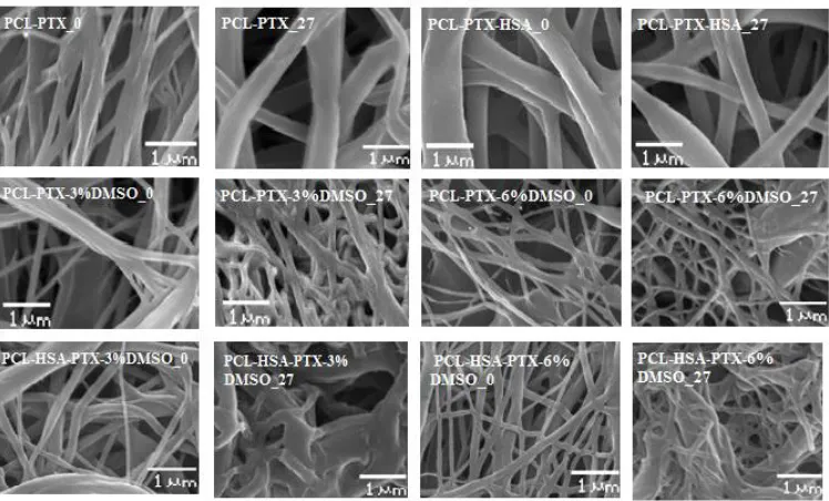 Figure 1. Microstructure of 3D matrices (SEM, ×3000 magnification). The digit following 