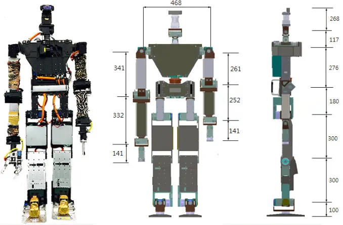 Figure 1.3: THOR-RD robot and its dimensions (in millimeters)