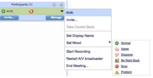 Figure 3. Screenshot of the layered menu access to Dimdim v.4.5 mood icons. 
