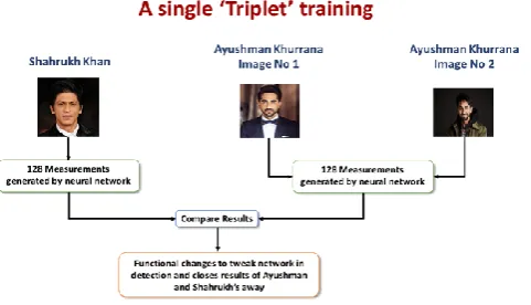 Figure 1: Block diagram of unique deep learning “triplet training.” 