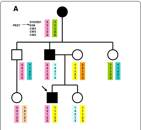 Figure 1 A. Linkage analysis for the PKD1 locus. B. Linkageanalysis for the PKD2 locus.