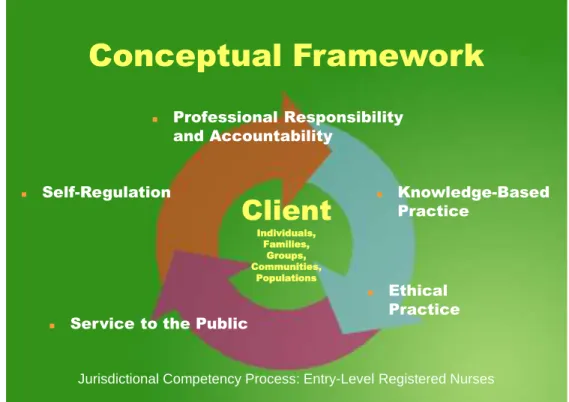 Figure 1: Conceptual Framework for Organizing Competencies 