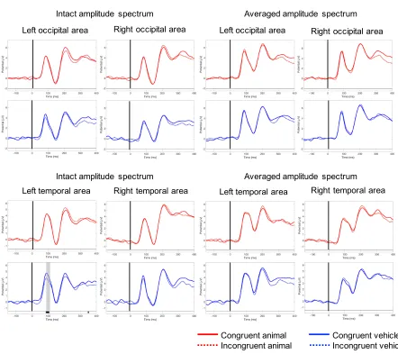 Figure 5. Results of the point-by-point analysis for congruent-incongruent ERP differences