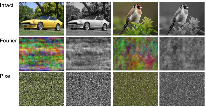 Figure 1. Example stimuli for intact (top row) images and their Fourier-scrambled (middle row) and pixel-scrambled (bottom row) versions