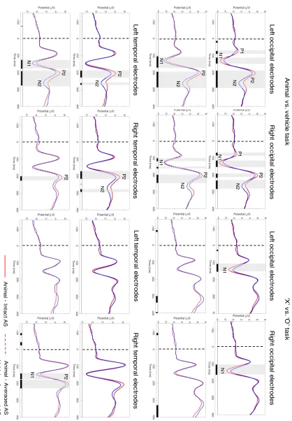 Figure 4. Results of the point-by-point analysis. The continuous lines represent images with intact AS, the dashed lines represent images with averaged AS