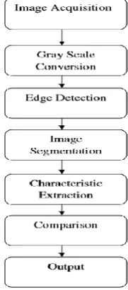 Figure 1.2 Input image 