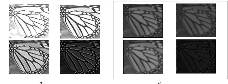 Fig. 4. Several feature maps examples of convolution and deconvolution layers. a. feature maps extracted from the third convolution layer; b