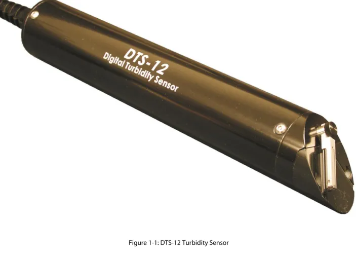 Figure 1-1: DTS-12 Turbidity Sensor 
