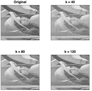 Figure 2: Recovery of Lena with Diﬀerent Sampling Parameters