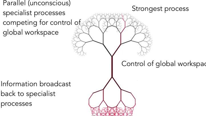 Figure 1.20; interpretation of strongest process (red) amoung many dominating control of the global workspace and broadcastings it back out to the wider network, this is an interpretive image and should be understood alongside the previous image examples (Chapter 1.5 -) 