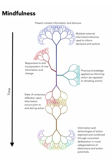 Figure 1.2; Graphical depiction of Mindfulness. Differing colours represent different understanding and knowledge gained or developed e.g