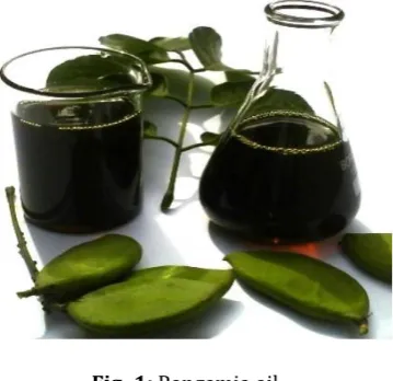 Fig- 1: Pongamia oil 