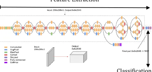 Fig -3: Working of TensorFlow 