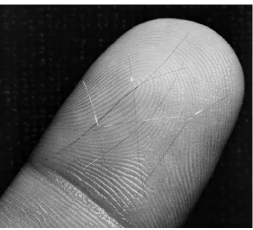 Figure 2.2: Several West Ford dipoles displayed against an unidentified finger for scale.224   