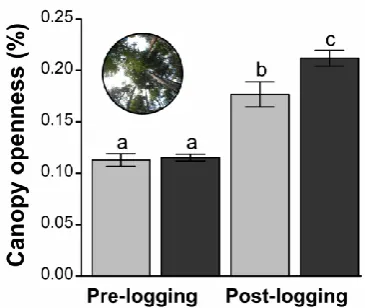 Figure 2. Canopy openness changes between control (light grey bars) and logging sites (dark grey bars) at surveys performed before (left bars in the panels) and after selective-logging 
