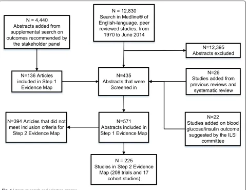 Fig. 1 Literature search and selection process