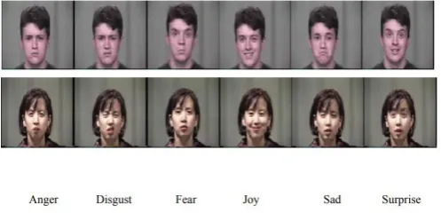 Fig.3. Images from Cohn-Kanade Database 