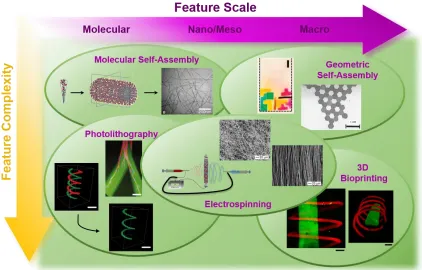 Figure 1.1. The biomaterials toolbox. The toolbox of biomaterials processing techniques that enable formation of highly controlled structures with biochemical and biomechanical features that vary across many size scales, as well as levels of complexity