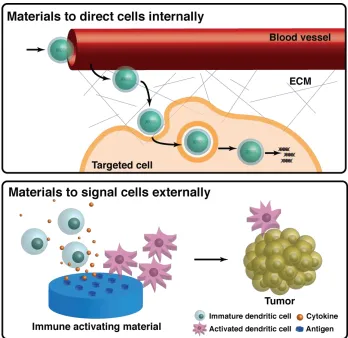Figure 1.3. Biologically complex materials. Biocomplex biomaterials interact with and direct cells both internally and externally