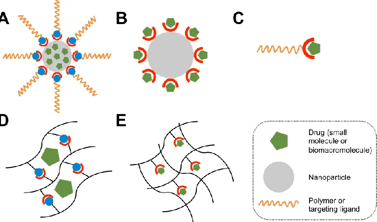 Figure 3.4. Guest-host interactions in drug delivery systems. Guest-host chemistry may be used for direct, non-covalent modification of drug molecules with targeting ligands (A), to provide non-covalent modification of nanoparticle drug carriers with targe
