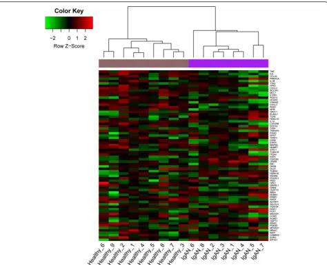 Table 2 Enrichment analysis of hub genes in the protein-protein interaction network