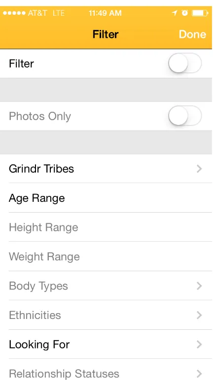 Fig. 4: Filters available for the Grindr Cascade. Filters in gray are only available for paying Grindr Xtra subscribers