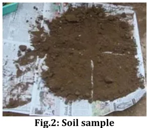 Fig.2: Soil sample 