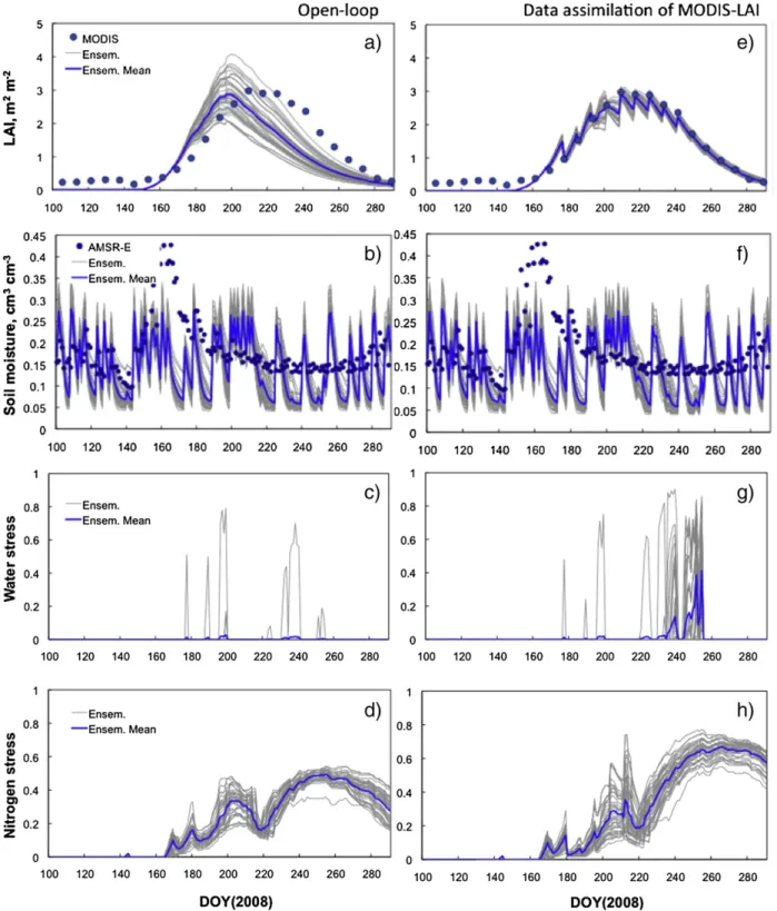 Fig. 8. LAI, soil moisture, water and nitrogen stress (unitless) simulations with (a–d) open-loop and (e–h) data assimilation of MODIS-LAI in 2008.