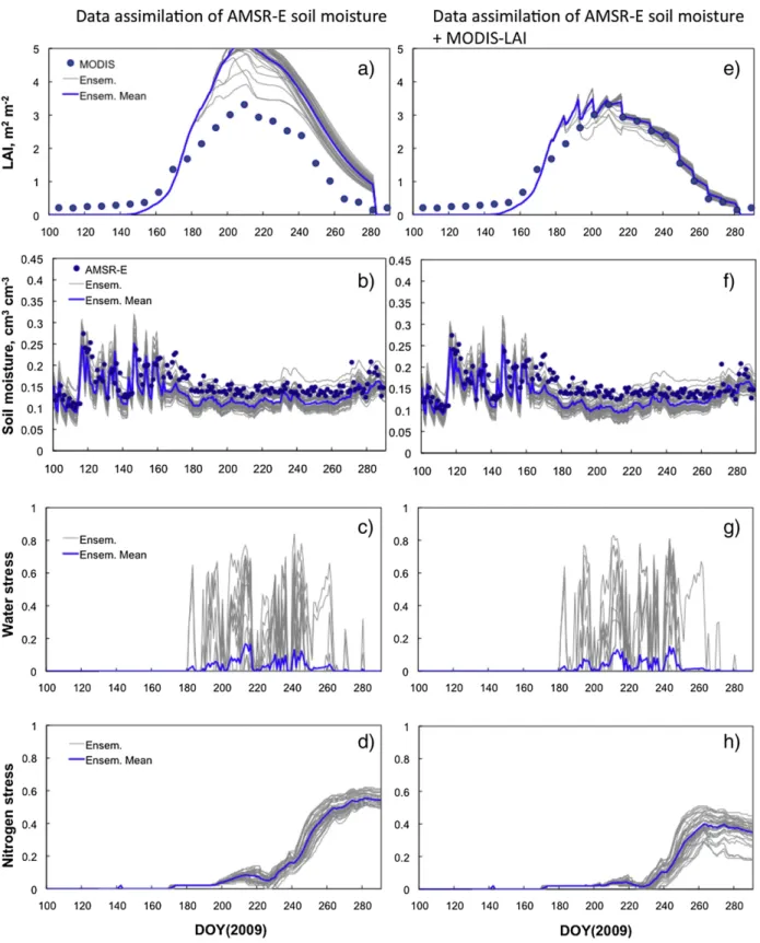 Fig. 10. LAI, soil moisture, water and nitrogen stress (unitless) simulations with (a–d) data assimilation of AMSR-E soil moisture and (e–f) data assimilation of AMSR-E soil moisture and MODIS-LAI in 2009.
