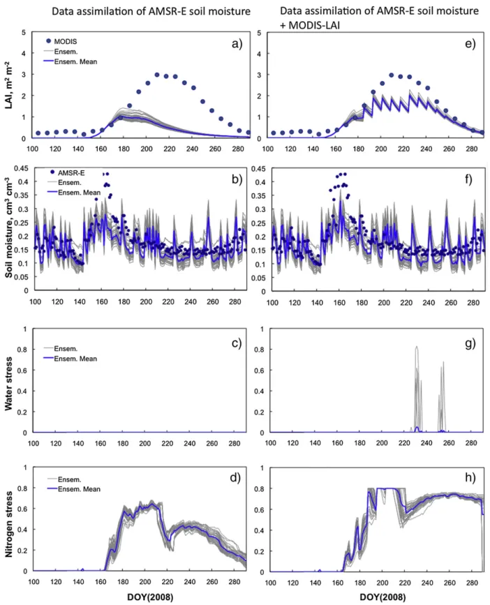Fig. 11. LAI, soil moisture, water and nitrogen stress (unitless) simulations with (a–d) data assimilation of AMSR-E soil moisture and (e–h) data assimilation of AMSR-E soil moisture and MODIS-LAI in 2008.