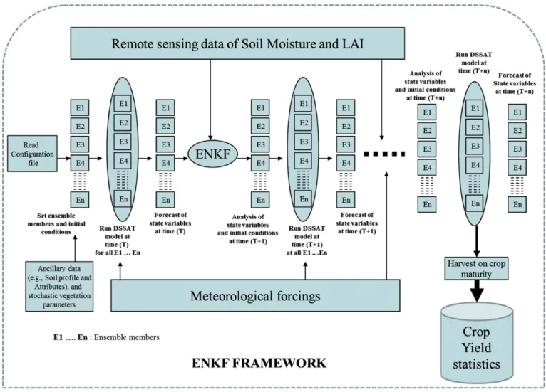Fig. 1 shows the overall framework of the EnKF data assimilation system. First, ensemble members are generated (in our case, 40, see Section 2.3.5), then independent crop model runs are invoked