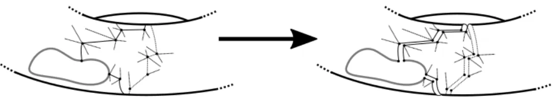 Figure 4: Cutting a surface (here a torus with a boundary) along a path. The bold grey line is the boundary of the surface.