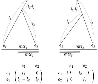 Figure 3: Matrix representation with relation between MTSand branch height [19, fig.4].