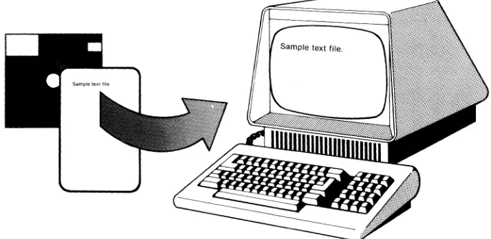 Figure 4: Console screen is a window on your text in buffer. 