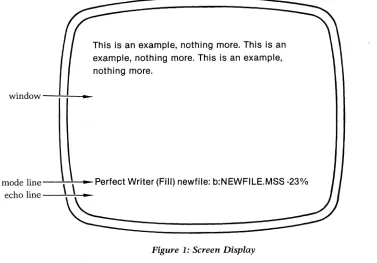 Figure 1: Screen Display 