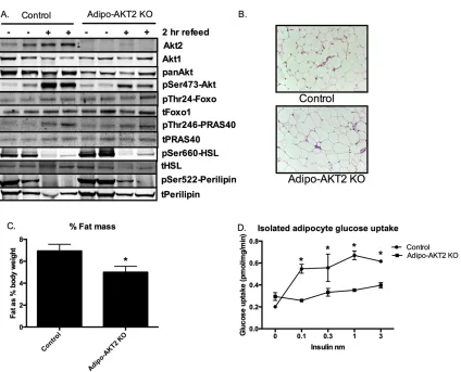 Figure 3-2. 
