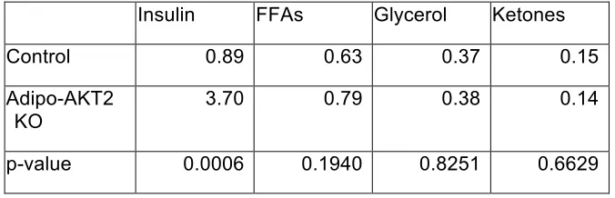 Table 3-1. Serum chemistries in the ad libitum state for control and Adipo-AKT2 KO mice